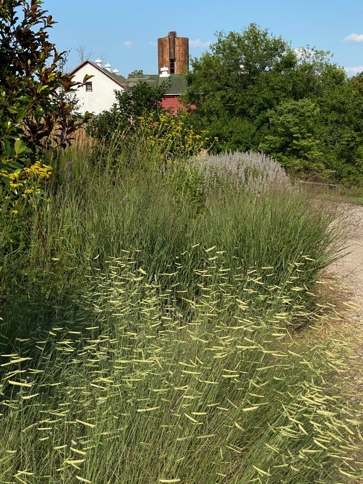 Donald Pell Studio Gardens, East Vincent Township by Donald Pell - Gardens - Photo 15
