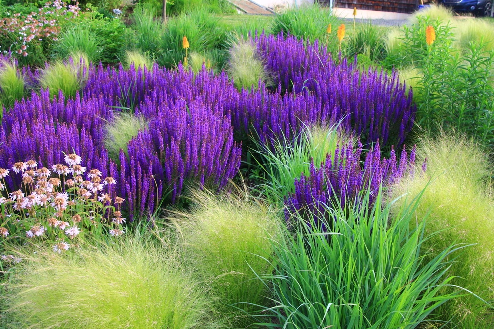 Donald Pell Studio Gardens, East Vincent Township by Donald Pell - Gardens - Photo 40