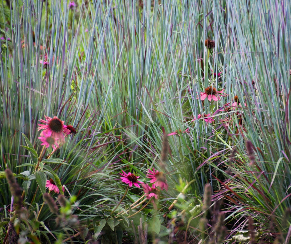 Donald Pell Studio Gardens, East Vincent Township by Donald Pell - Gardens - Photo 13