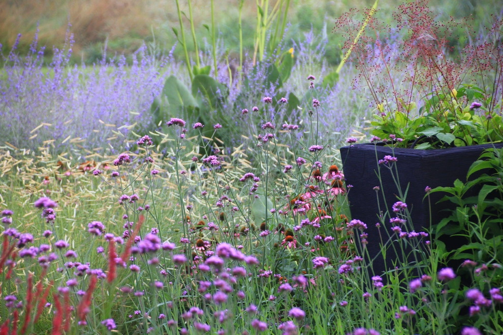 Donald Pell Studio Gardens, East Vincent Township by Donald Pell - Gardens - Photo 44