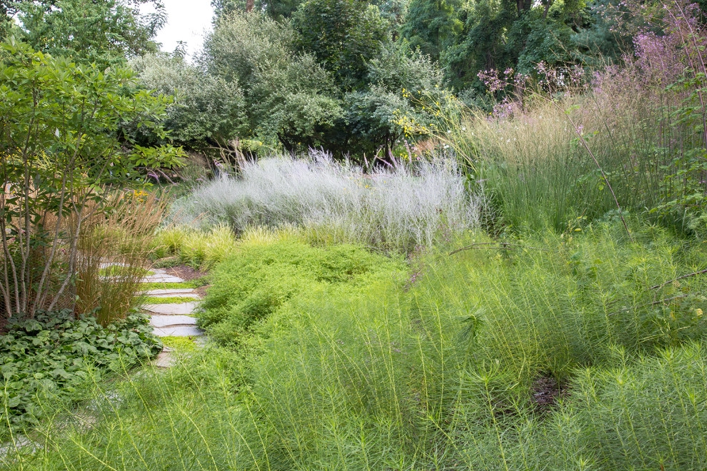 Malvern Garden by Donald Pell - Gardens - Photo 11
