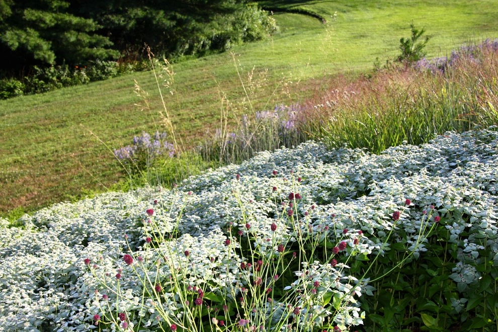 Kempton, PA Garden and Masonry by Donald Pell - Gardens - Photo 13