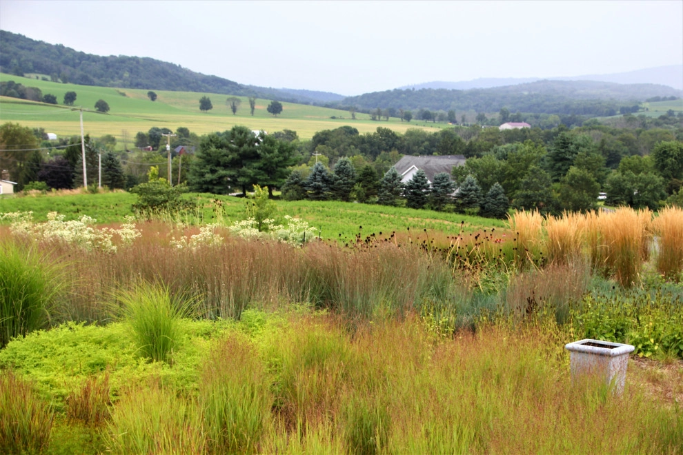 Kempton, PA Garden and Masonry by Donald Pell - Gardens - Photo 15