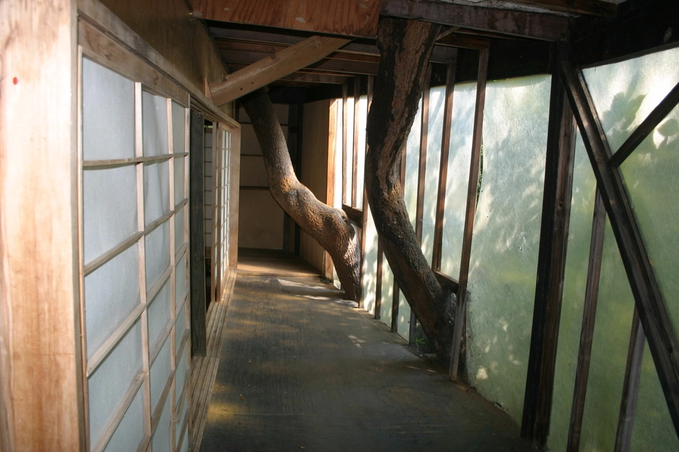 Inspiration by Donald Pell - Gardens - Photo 3