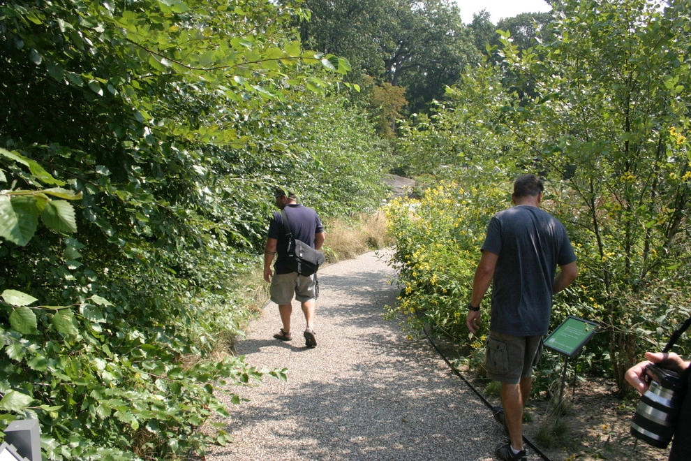 Inspiration by Donald Pell - Gardens - Photo 2