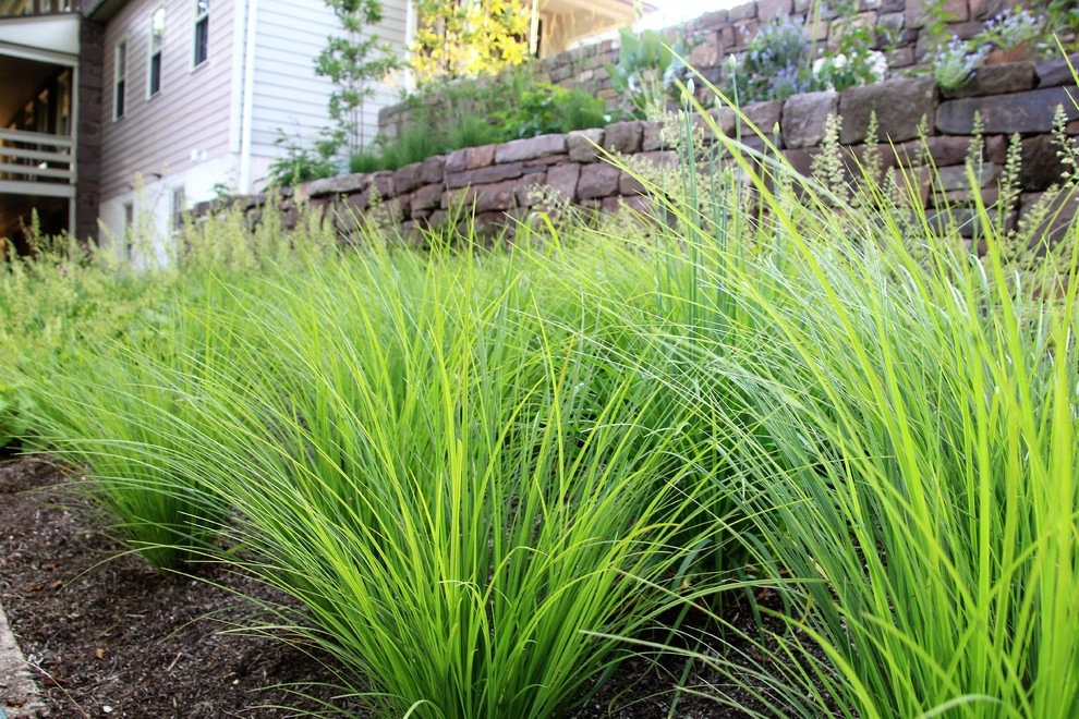 Colonial Farmhouse Garden, Royersford by Donald Pell - Gardens - Photo 13