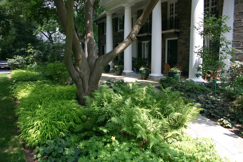 Neo Classical Landscape, Ardmore by Donald Pell - Gardens - Photo 2