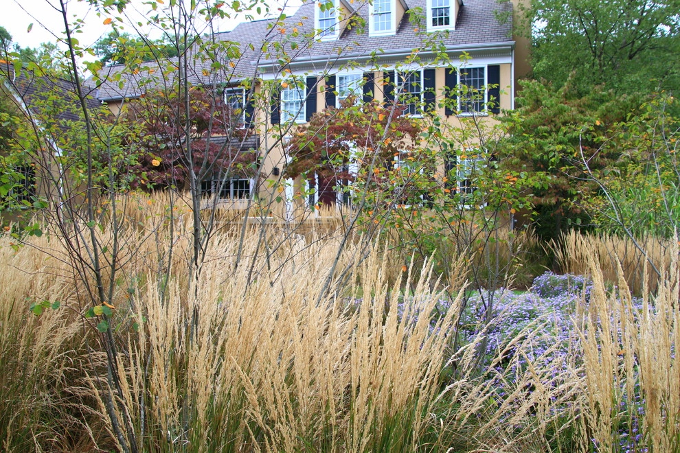 Suburban Neighborhood Garden, Wayne PA by Donald Pell - Gardens - Photo 11