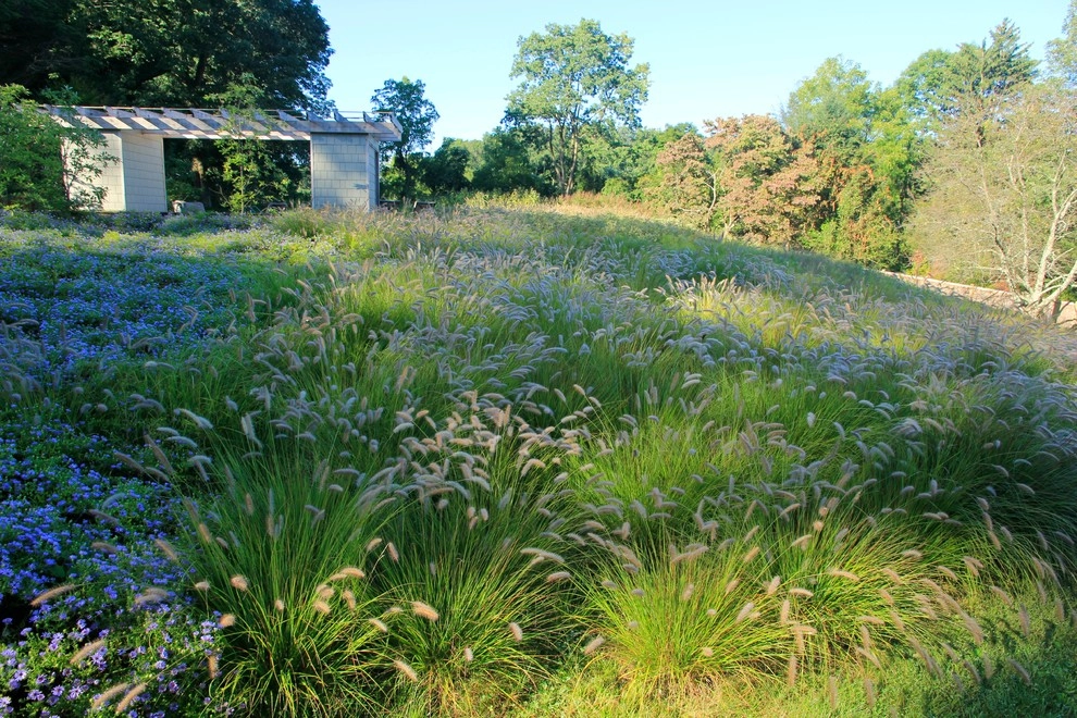 Teardrop Meadow, Birchrunville by Donald Pell - Gardens - Photo 8