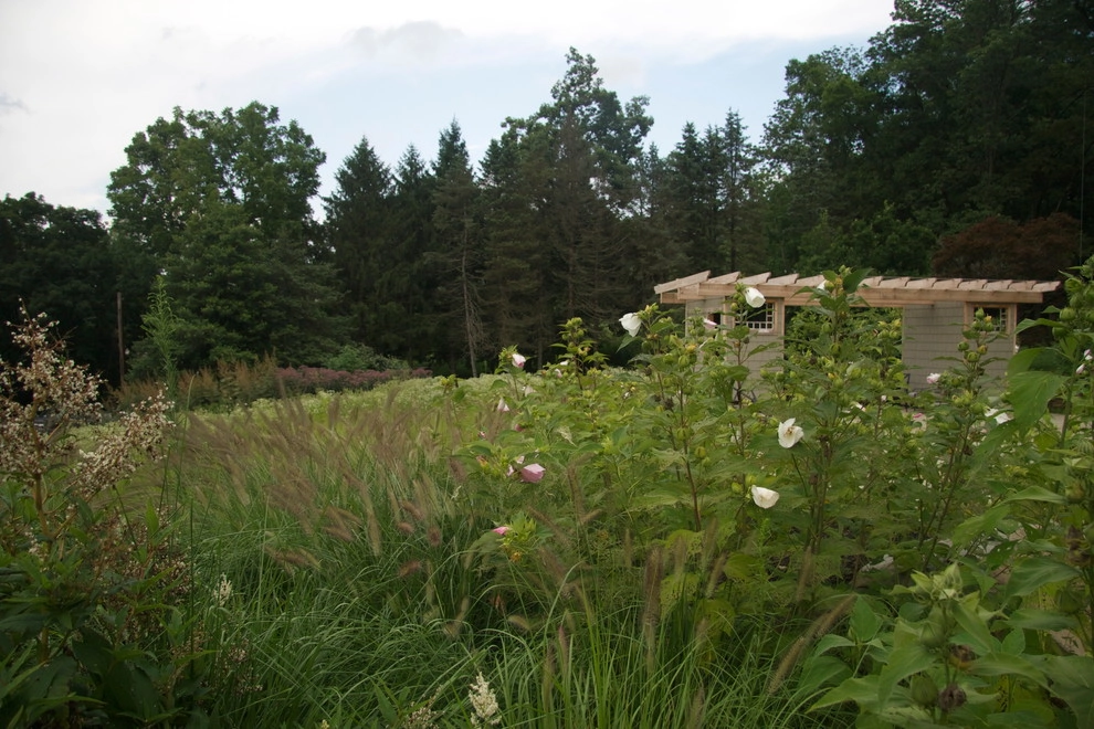 Teardrop Meadow, Birchrunville by Donald Pell - Gardens - Photo 12