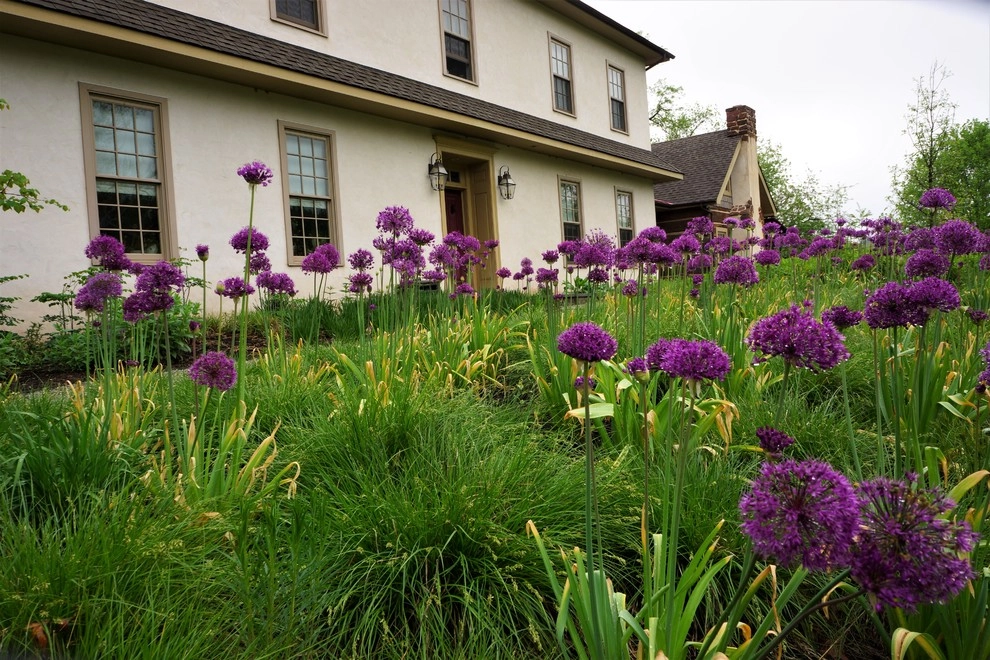 Royersford Front Hillside Garden by Donald Pell - Gardens - Photo 10