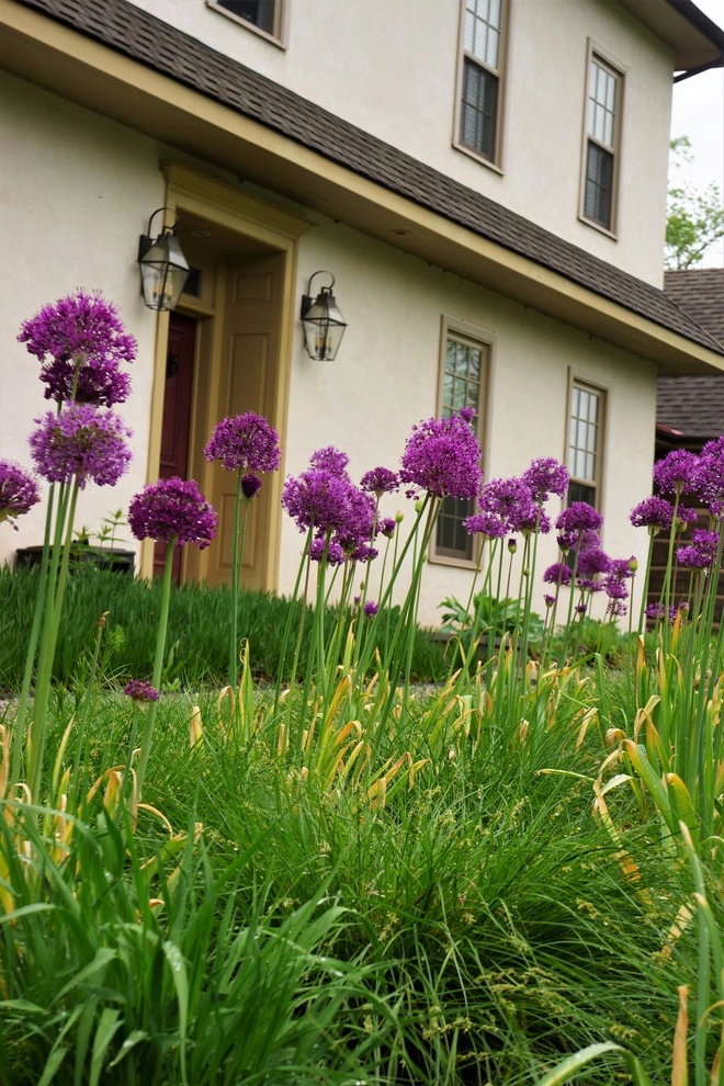 Royersford Front Hillside Garden by Donald Pell - Gardens - Photo 12