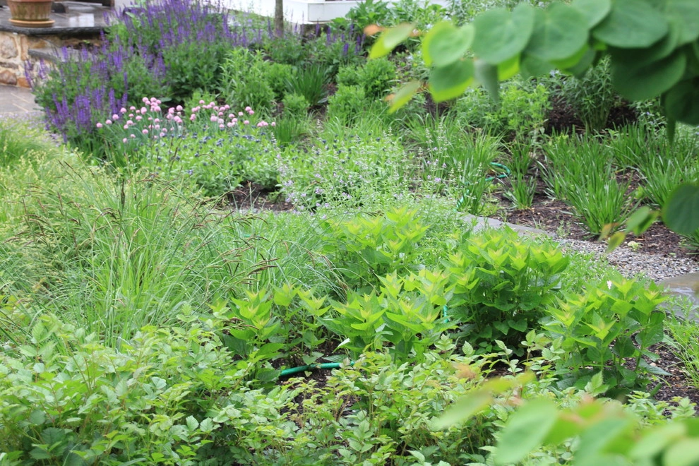 Valley Forge Garden by Donald Pell - Gardens - Photo 7