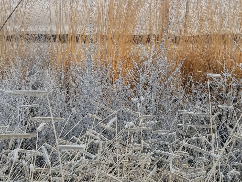 Donald Pell - Gardens - Photo 4