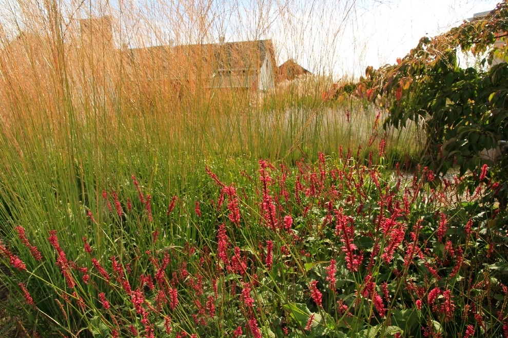 Donald Pell Studio Gardens, East Vincent Township by Donald Pell - Gardens - Photo 10