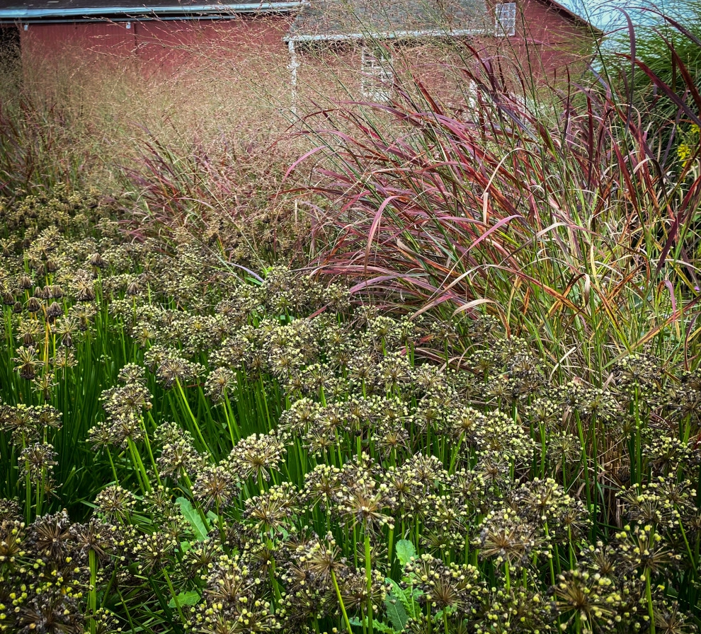 Donald Pell Studio Gardens, East Vincent Township by Donald Pell - Gardens - Photo 14