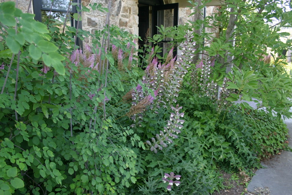 Donald Pell Studio Gardens, East Vincent Township by Donald Pell - Gardens - Photo 9