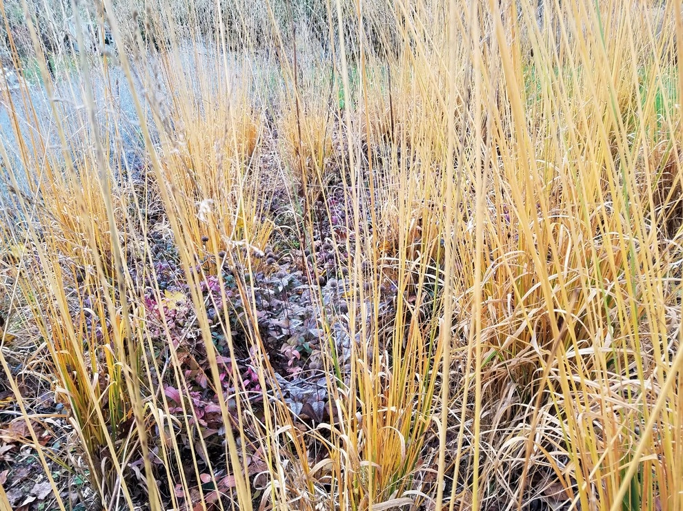 Malvern Garden by Donald Pell - Gardens - Photo 21