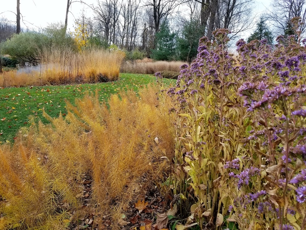 Malvern Garden by Donald Pell - Gardens - Photo 8