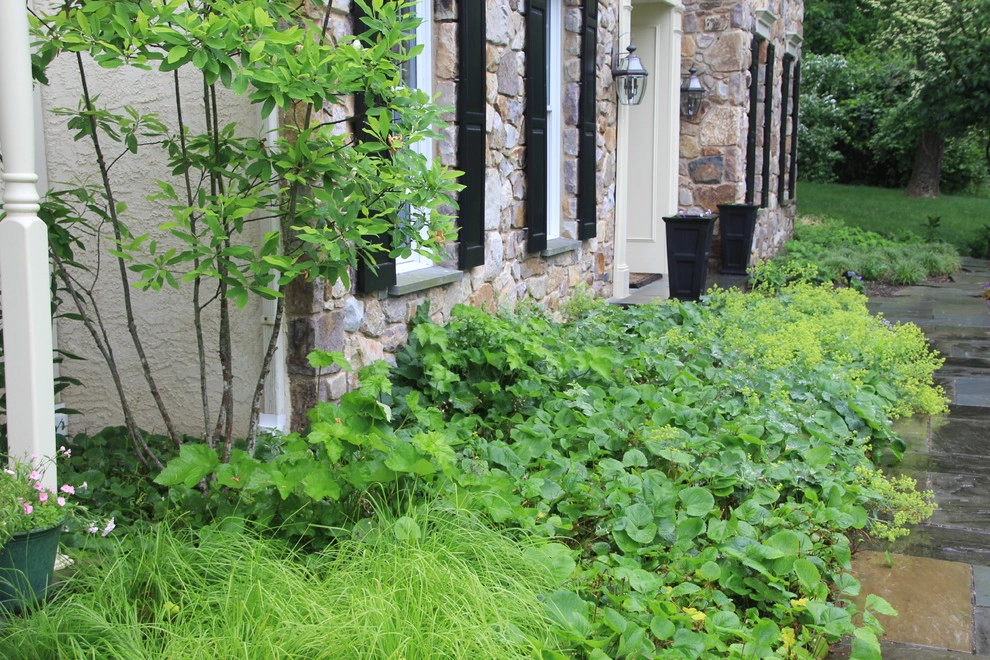 Donald Pell - Gardens - Photo 5