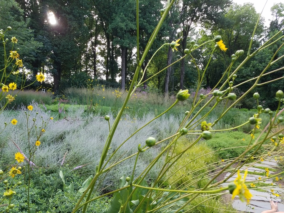 Malvern Garden by Donald Pell - Gardens - Photo 17