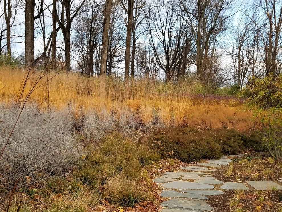 Malvern Garden by Donald Pell - Gardens - Photo 2