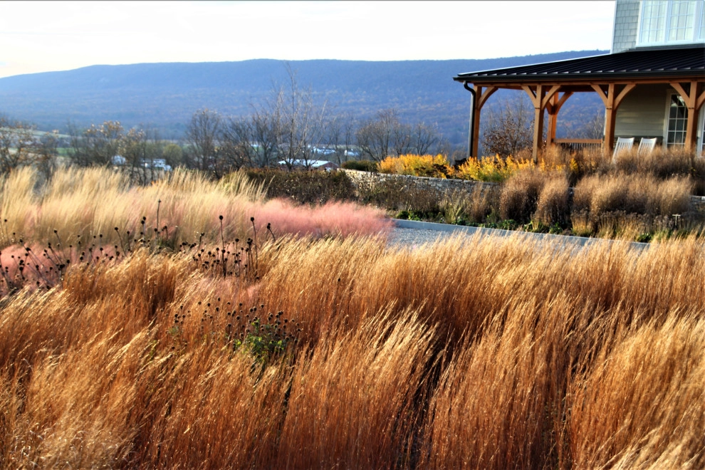 Kempton, PA Garden and Masonry by Donald Pell - Gardens - Photo 30