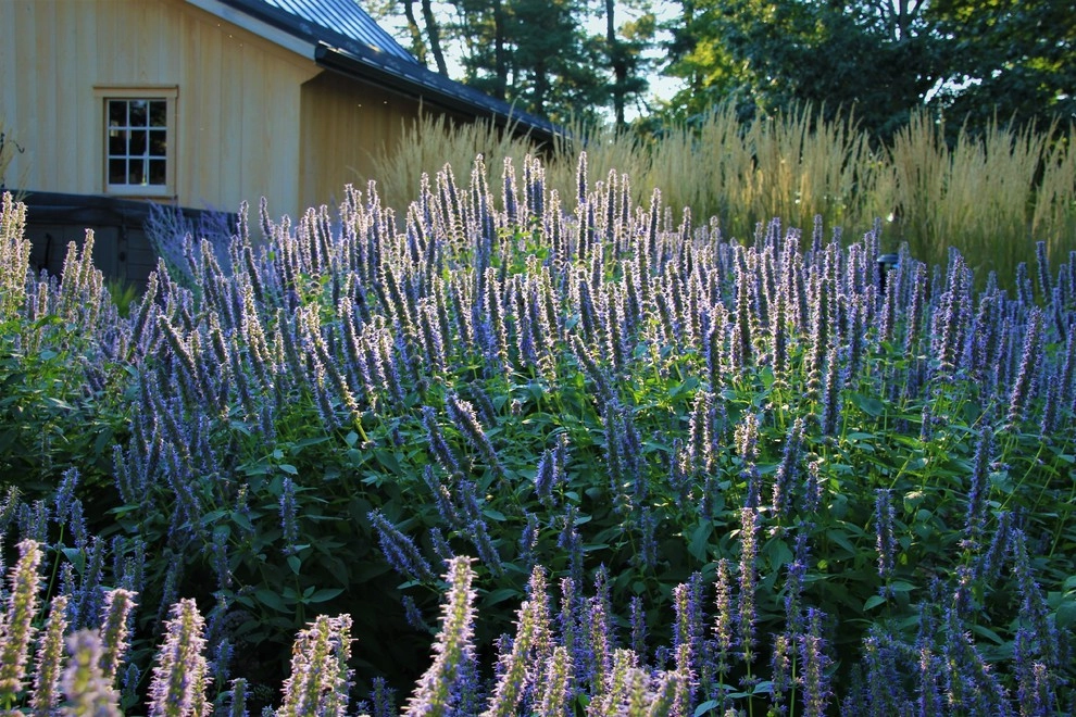 Colonial Farmhouse Garden, Royersford by Donald Pell - Gardens - Photo 15