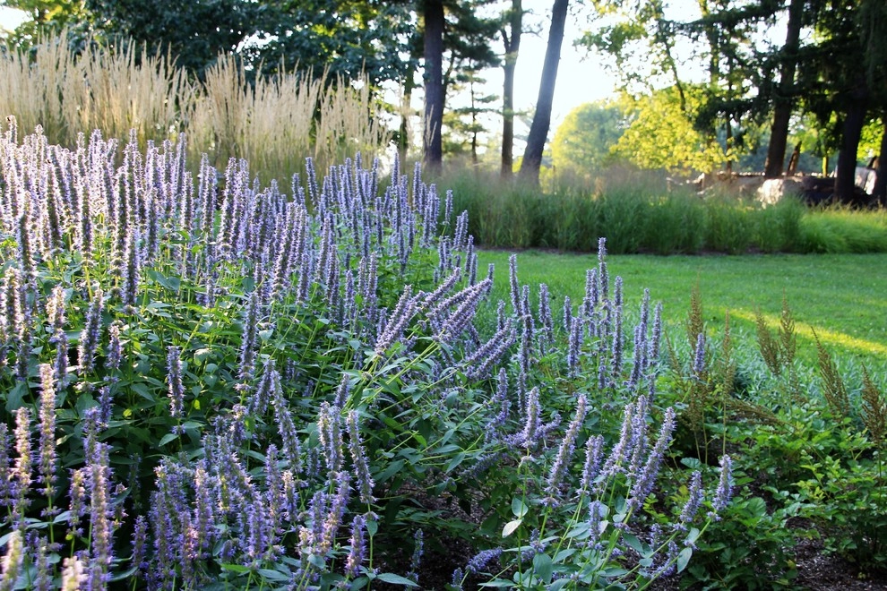 Colonial Farmhouse Garden, Royersford by Donald Pell - Gardens - Photo 6