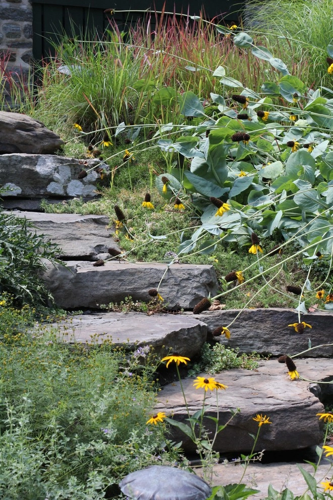 Neo Classical Landscape, Ardmore by Donald Pell - Gardens - Photo 5