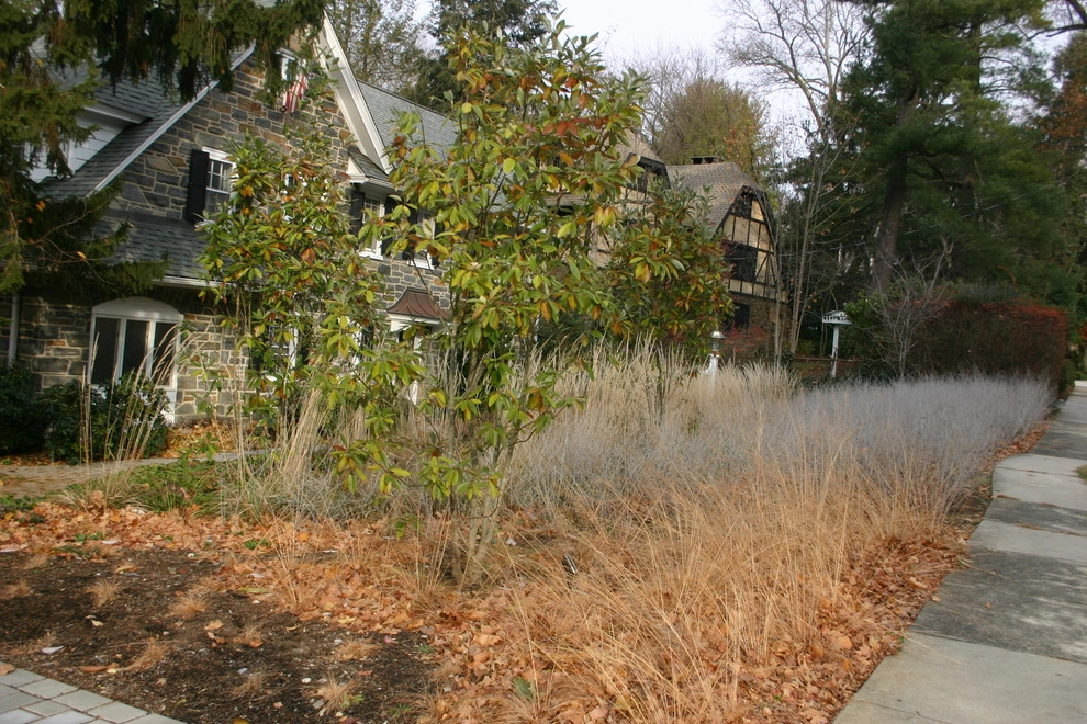 Front Entry Garden (lawn replacement), Ardmore by Donald Pell - Gardens - Photo 5