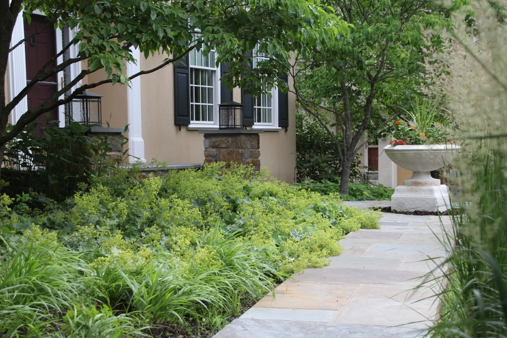 Suburban Neighborhood Garden, Wayne PA by Donald Pell - Gardens - Photo 3