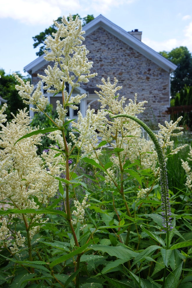 Valley Forge Garden by Donald Pell - Gardens - Photo 17