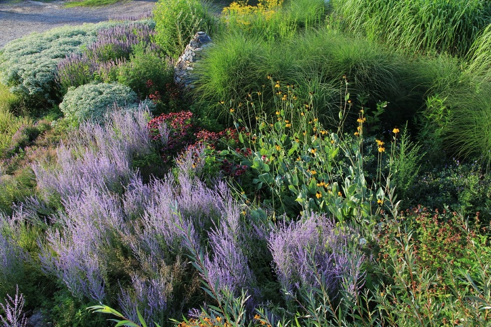 Donald Pell Studio Gardens, East Vincent Township by Donald Pell - Gardens - Photo 26