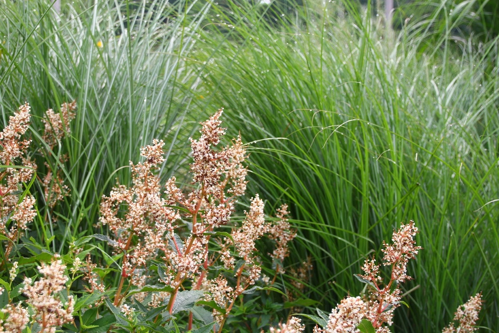 Donald Pell Studio Gardens, East Vincent Township by Donald Pell - Gardens - Photo 49