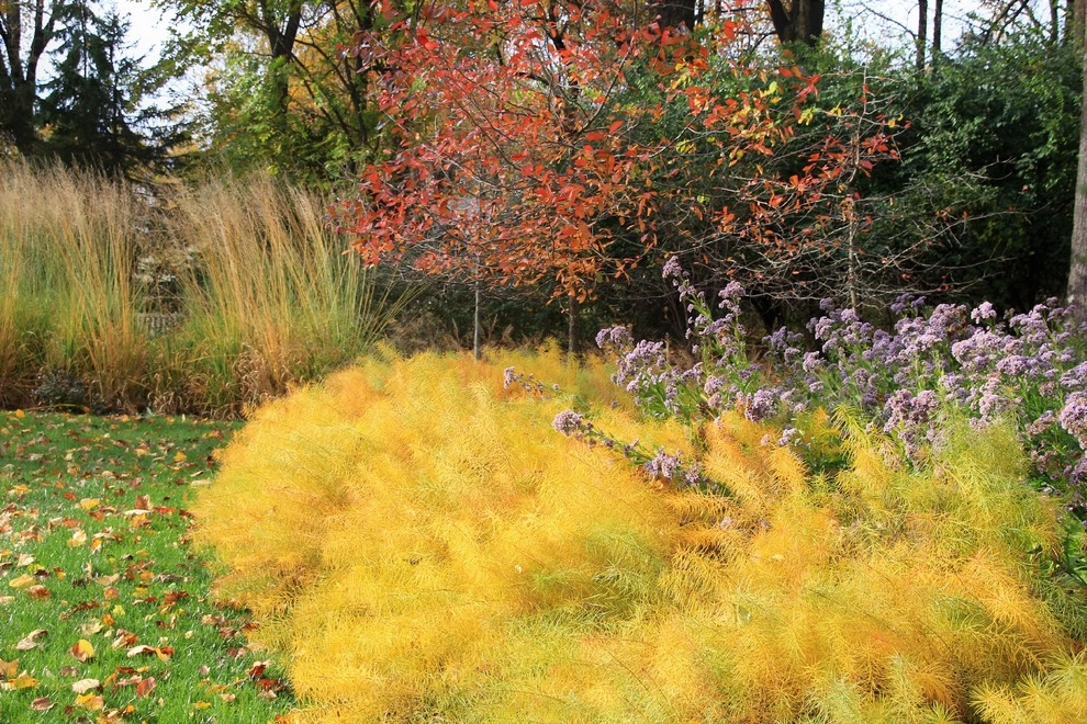 Malvern Garden by Donald Pell - Gardens - Photo 12