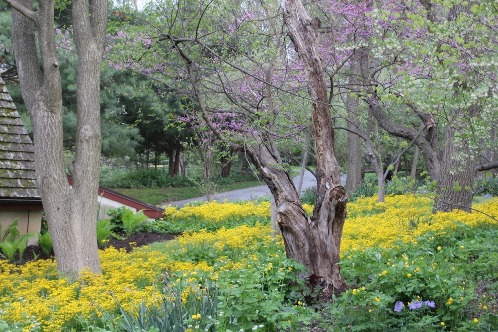 Donald Pell - Gardens - Photo 10