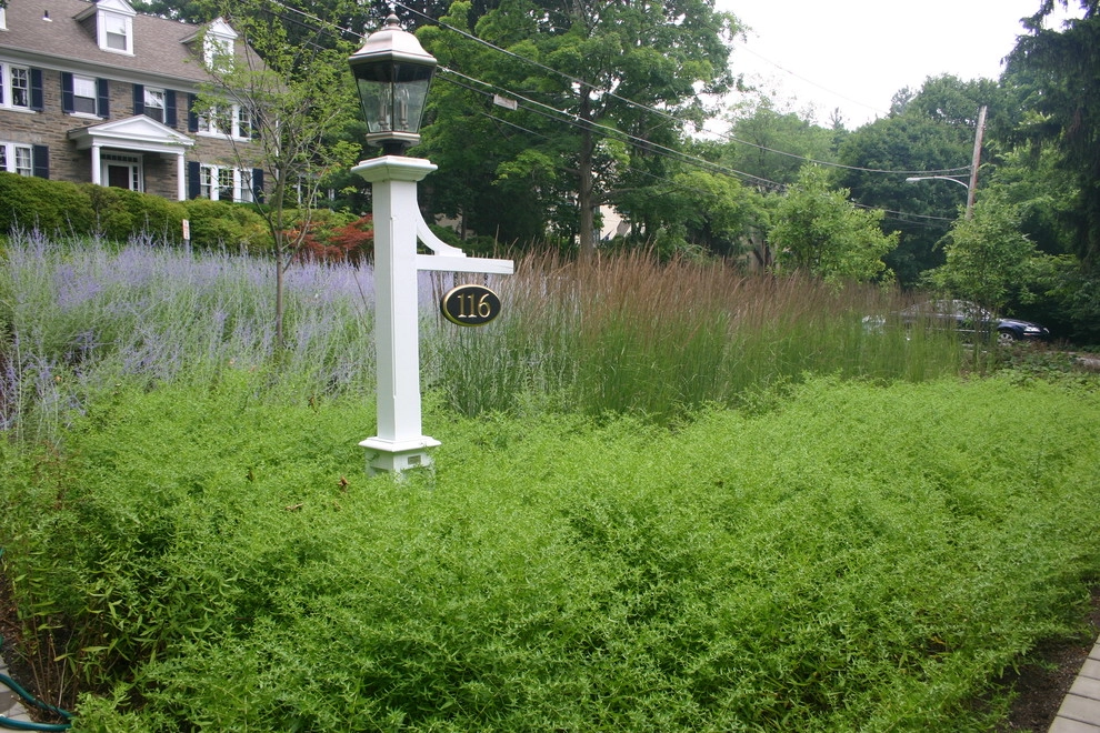 Front Entry Garden (lawn replacement), Ardmore by Donald Pell - Gardens - Photo 7