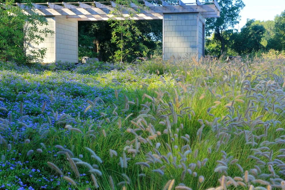 Teardrop Meadow, Birchrunville by Donald Pell - Gardens - Photo 2