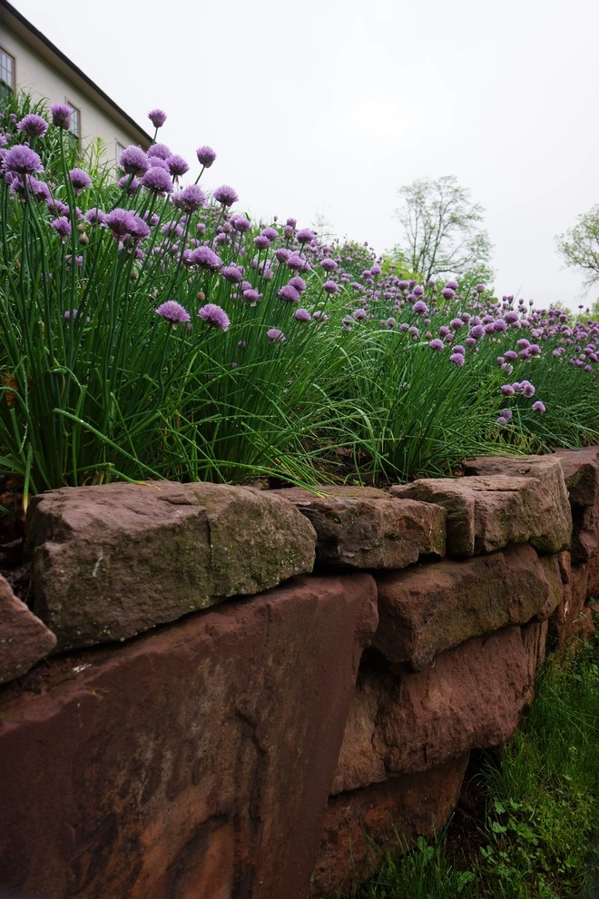 Royersford Front Hillside Garden by Donald Pell - Gardens - Photo 15