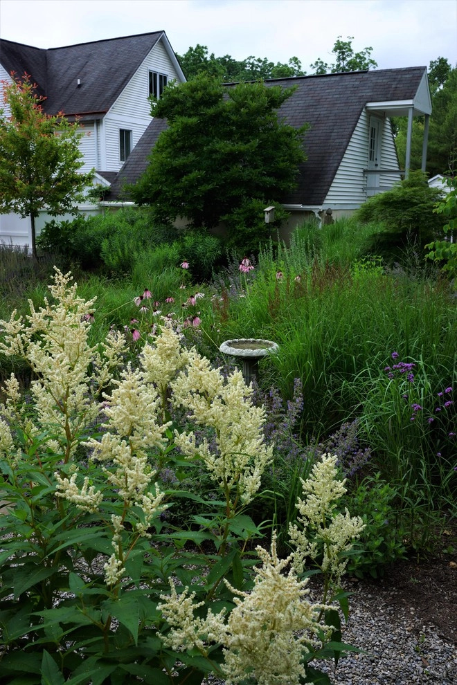 Valley Forge Garden by Donald Pell - Gardens - Photo 11