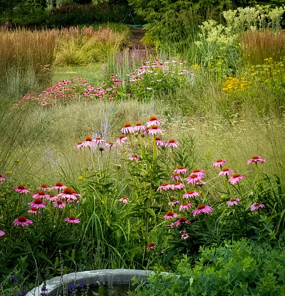 Donald Pell Studio Gardens, East Vincent Township by Donald Pell - Gardens - Photo 54