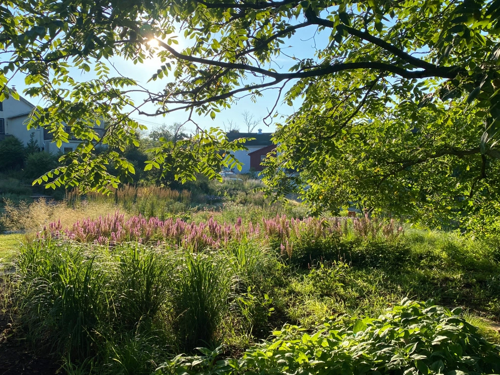 Donald Pell Studio Gardens, East Vincent Township by Donald Pell - Gardens - Photo 4