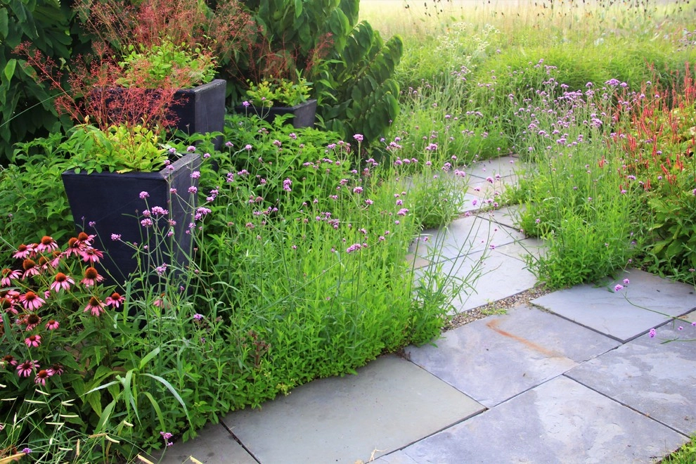 Donald Pell Studio Gardens, East Vincent Township by Donald Pell - Gardens - Photo 18