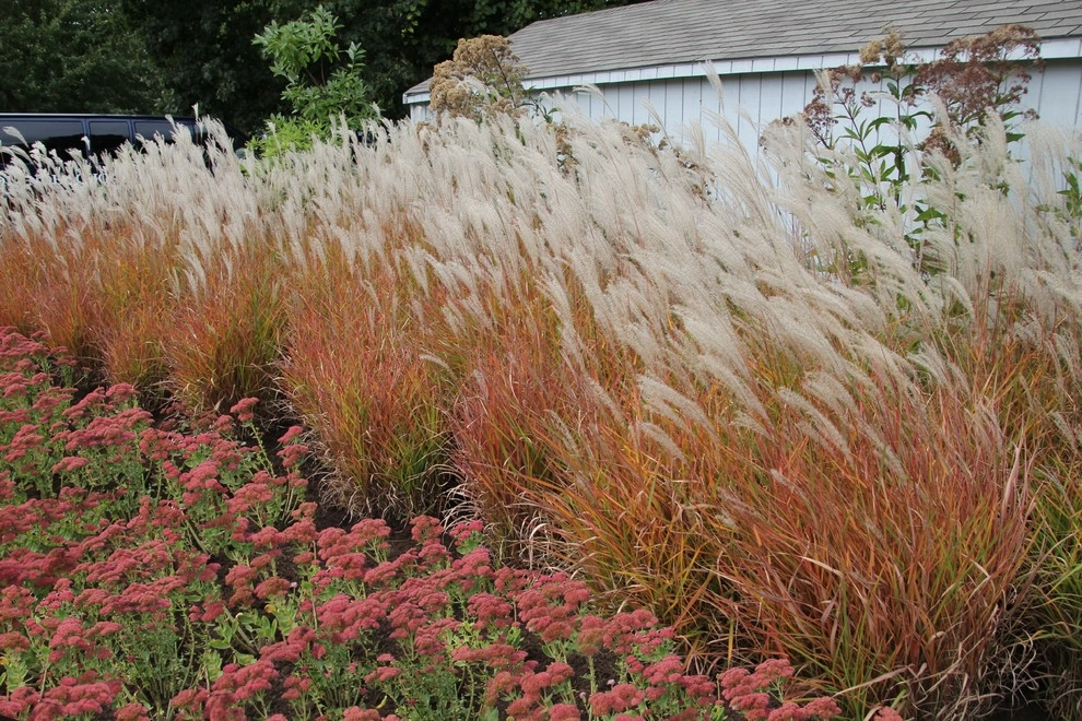 Woodlynde School by Donald Pell - Gardens - Photo 4