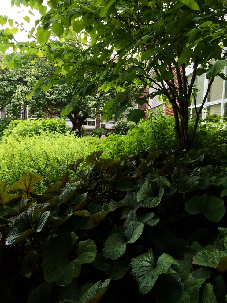 Woodlynde School by Donald Pell - Gardens - Photo 6