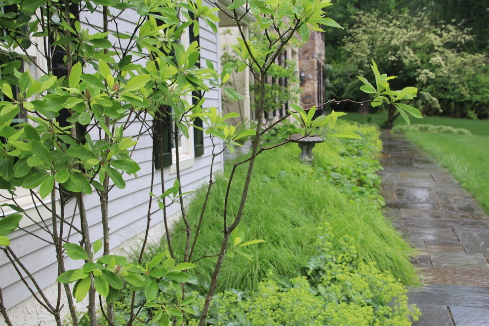 Malvern Garden by Donald Pell - Gardens - Photo 20