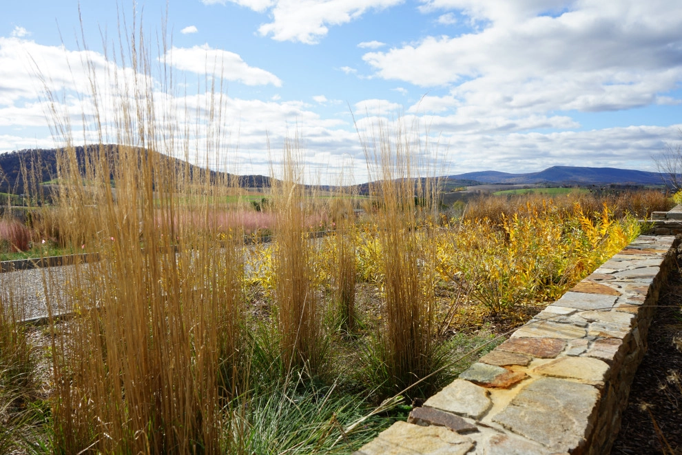 Kempton, PA Garden and Masonry by Donald Pell - Gardens - Photo 16