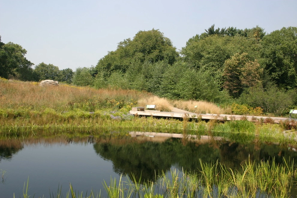Inspiration by Donald Pell - Gardens - Photo 4