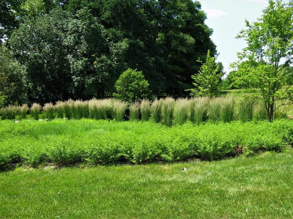 Fiery Entrance, Villanova by Donald Pell - Gardens - Photo 2